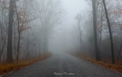 Foggy Road Oak Mountain web.webp
