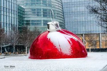 Snow walk-5-Edit.webp