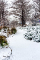 Snow walk-23-Edit.jpg