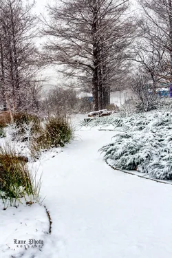 Snow walk-23-Edit.webp