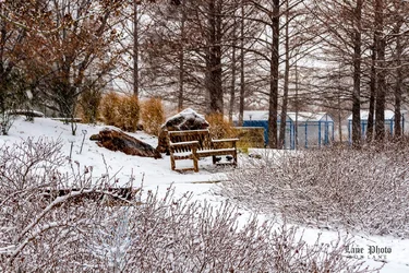 Snow walk-31-Edit.webp