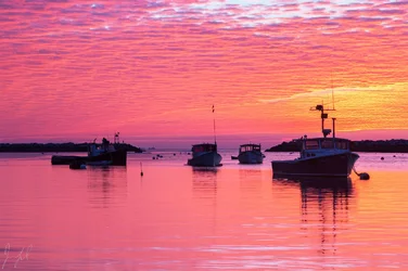 ryeharbor.webp