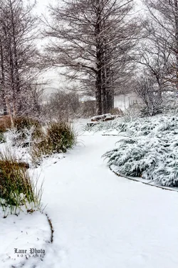 Snow walk-23-Edit.webp