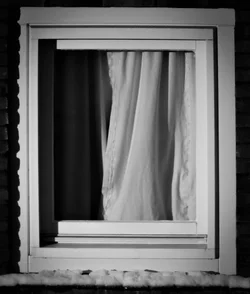 From window 053.webp