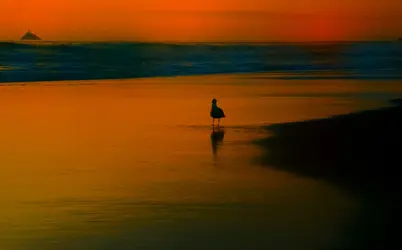 Beach-4.webp