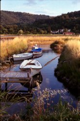 Boats in Strunjan.jpg