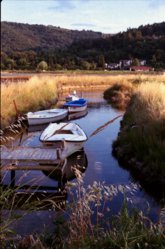 Boats in Strunjan v2.jpg