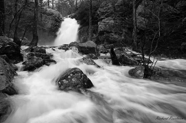 Peavine Falls 2 web.webp