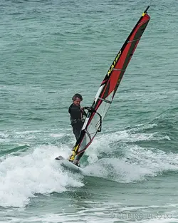 Windsurfer.webp