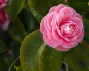 _MG_5856.webp
