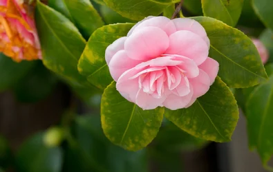 _MG_5857.webp