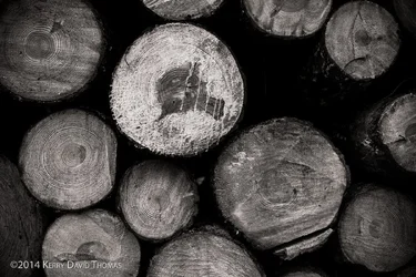 Logs (1 of 1).webp