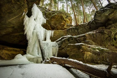 Winter Water Logs TPF.webp