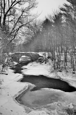 BRI_0955_02.webp
