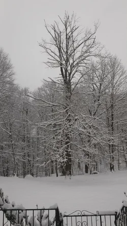 20150124_095923.webp