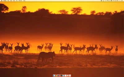 Screen Shot 2015-01-30 at 10.01.34 PM.webp
