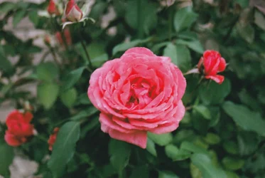 New1.webp