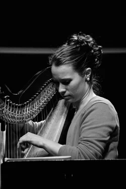 The Harp.webp