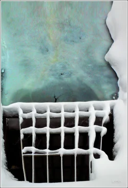 snow grate sig.webp
