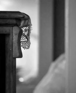 Lace.webp