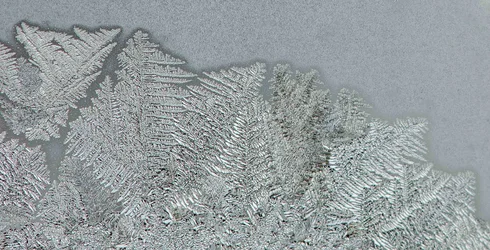 Frost on the window-small.webp