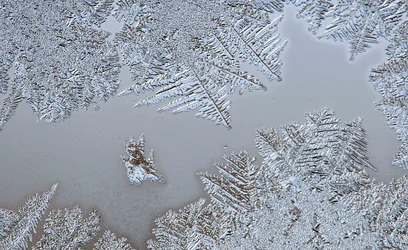 Frost on the window-3.webp