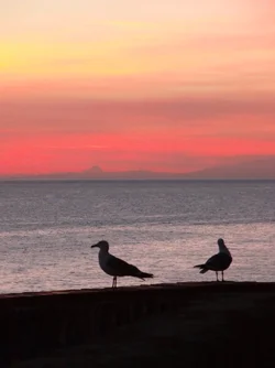 $mediterranean_sunset_2_by_saqqarabird-d3g57g4.webp