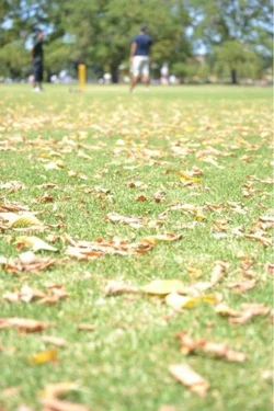 $image-1220221022.webp