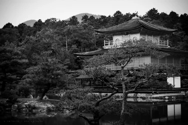 $Japan.webp