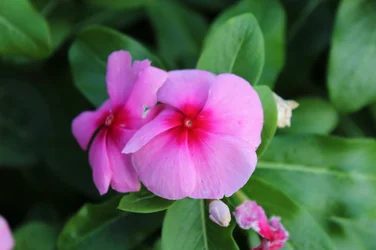 $IMG_0072.webp