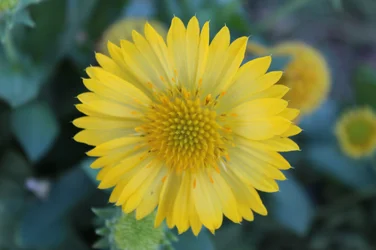 $IMG_0074.webp