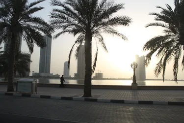 $IMG_3960.webp