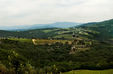 $landscape_euro.webp