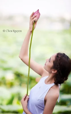 $_DSC2774.webp $_DSC2774.webp