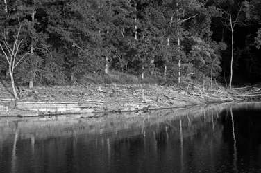 $Lake B&W.webp