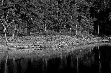$Lake B&W-3.webp