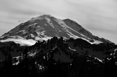 $tpf help b&w 1.webp