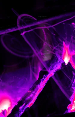 $purple fire copy.webp $purple fire copy.webp