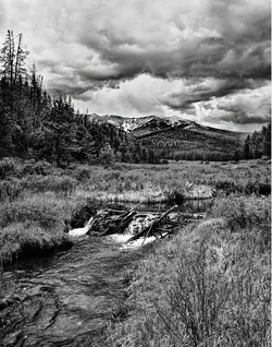 $!_DSC0817LLLlightened.webp $!_DSC0817LLLlightened.webp