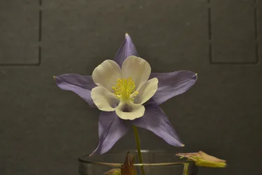 $_DSC0109original.webp