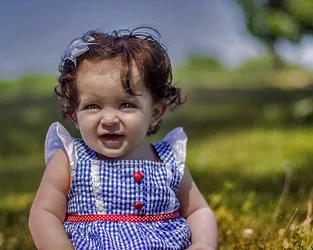 $7183198091_1223d4c1c2_c-1.webp
