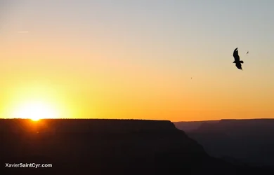 $grandcanyon-13.webp $grandcanyon-13.webp