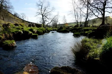 River Picture Low Def.webp