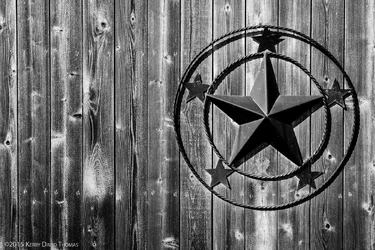 TexasStar (1 of 1).webp