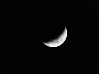 Moon.webp