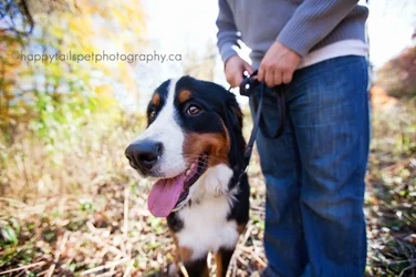 ellie-11-blog(pp_w750_h499).webp