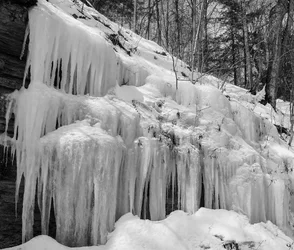 Mill Fall Run BW.webp