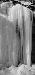 Mill Fall Run BW-2.jpg