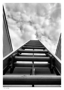 ladder sig.webp