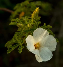 _MG_0902.webp